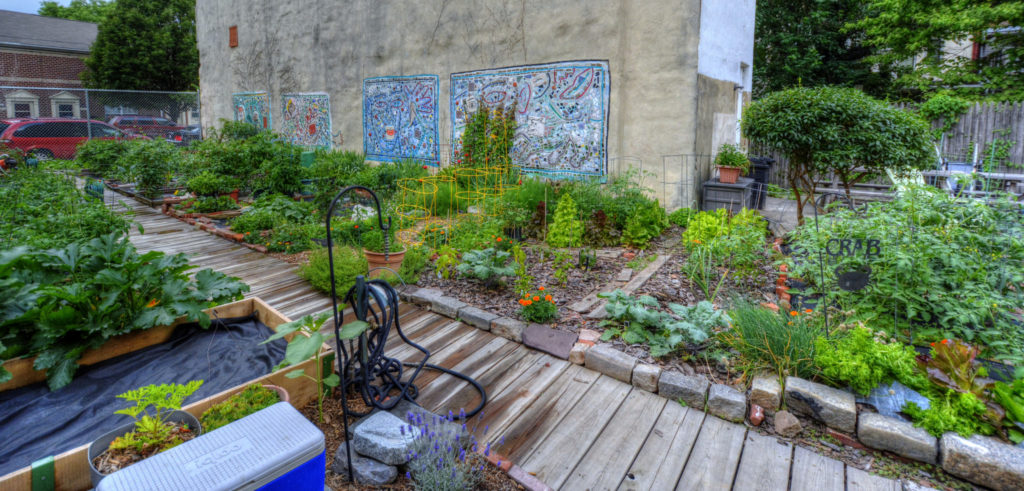 Bodine Street Community Garden Photo